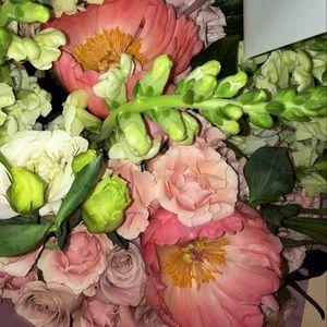 Meet your Posher, Elen